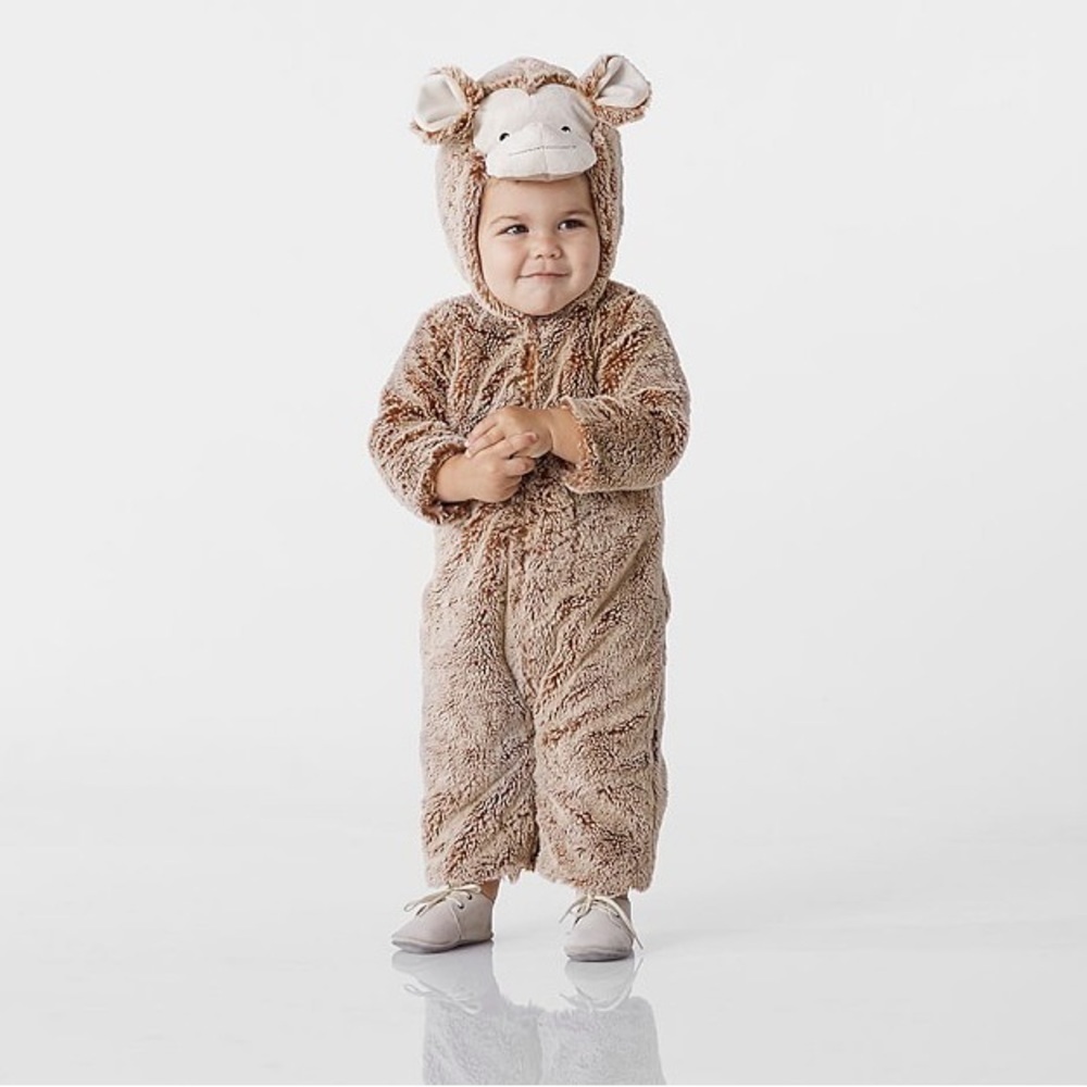 Pottery Barn Kids Baby Monkey Costume Onesie